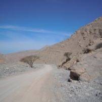 Wadi Ghalilah 14