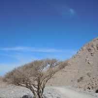 Wadi Ghalilah 16