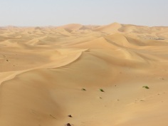 Desert 10
