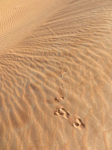 Footprints 15