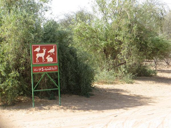 Al Ojair Wildlife Forest