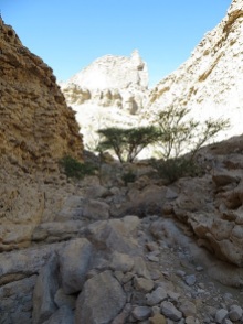 Wadi Al Nayhan 17