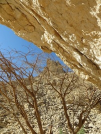 Wadi Al Nayhan 8
