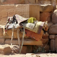 Petra in Pictures