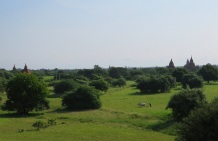 Bagan Temples 3